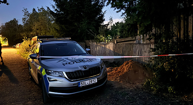 V zooparku u Prahy utekl lev z klece a zranil chovatele, policisté šelmu zastřelili