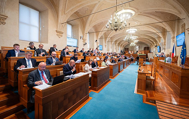 Senát schvaluje Bartoně a Smolku do Ústavního soudu, ODS i ANO je podpoří