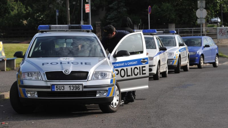 20 let za vraždu novorozenců. Matka z Rychnovska se k hrůzným činům přiznala