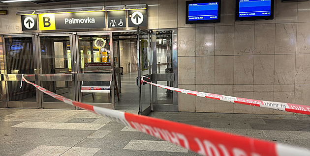 Na Palmovce skočila pod metro žena, střet nepřežila. Část linky B stála