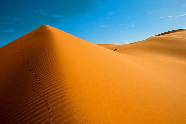 Maroko umírá žízní. Ze zelené oázy se stává suchá a vyprahlá pustina