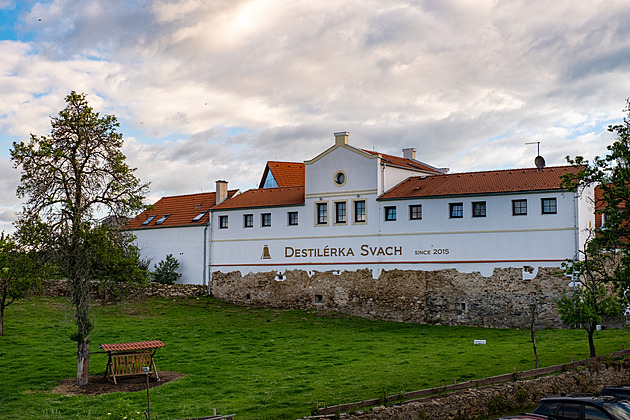 Nejlepší pálenkou je Zlatá Višňovice od Svacha. Titul se stěhoval do jižních Čech