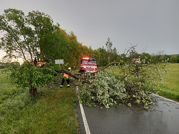 Kvůli silnému větru na Vysočině padaly stromy, uvolněná byla i střecha školy