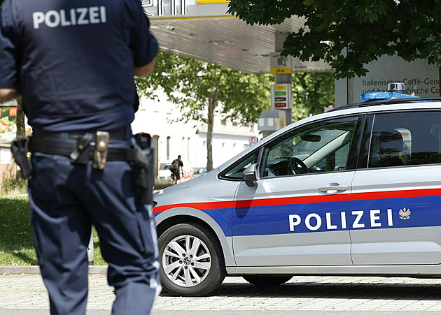 Čeští manželé loupili v Rakousku. Při útěku před policií havarovali v kradeném autě