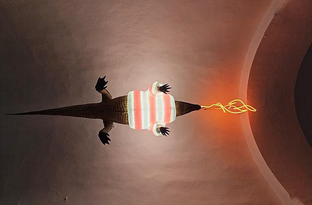 Pořadatel vánočních trhů v Brně vrací úder, zastupitele SPD viní z pomluvy