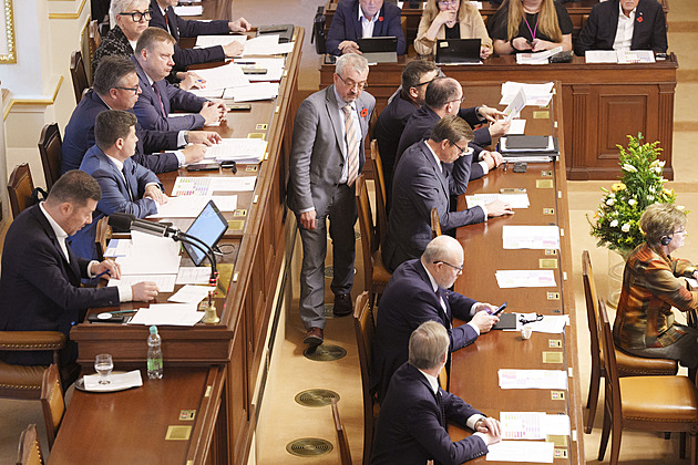 Sněmovna potvrdí šéfy výborů, jako jediní nemají žádného Piráti