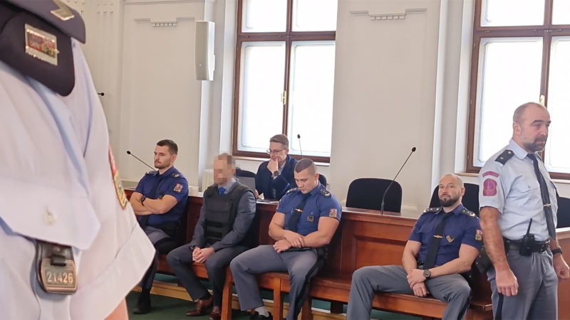 Pět ran sekerou do obličeje. Za vraždu milenky dostal primář 28 let, reagoval bez emocí