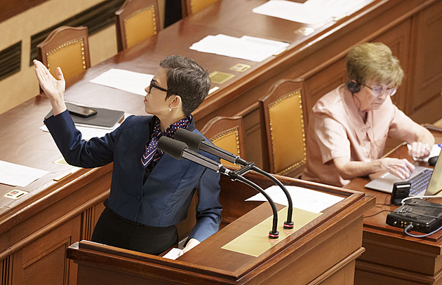 Skopeček je místopředsedou Sněmovny, neuspěli Piráti, nevedou ani jeden výbor