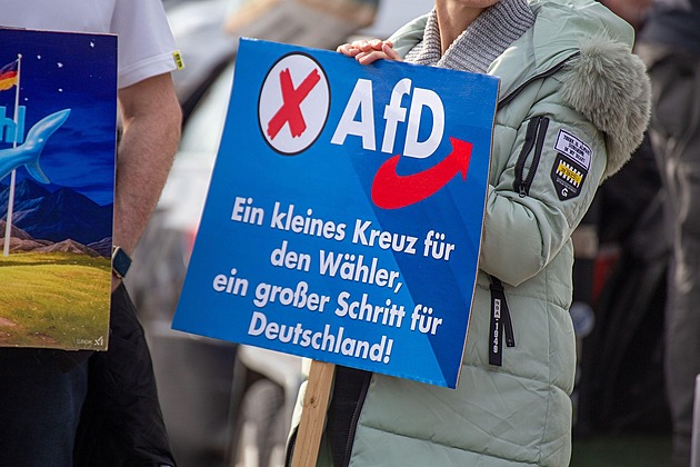 Německo se radikalizuje, krajně pravicová AfD nevadí už polovině voličů
