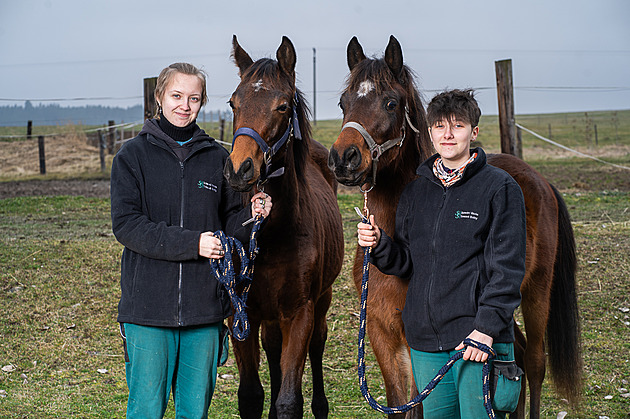 Kam na učňák? No přece do Trhových Svinů