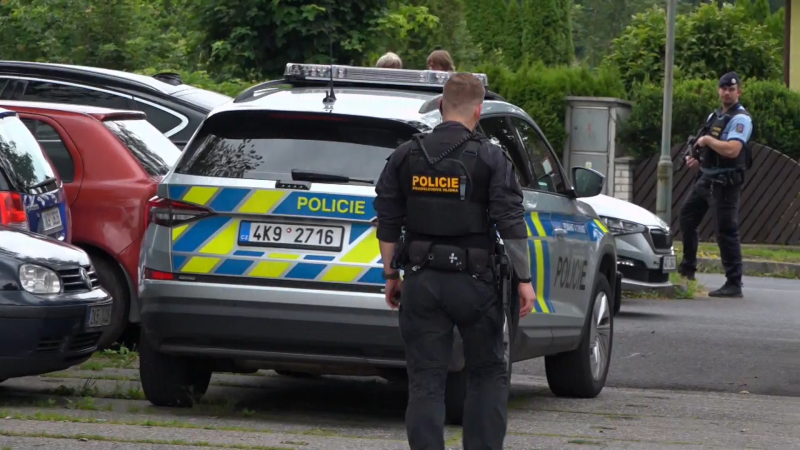 Výjimečný trest za mord družky platí. Nejvyšší soud zamítl vrahovo dovolání