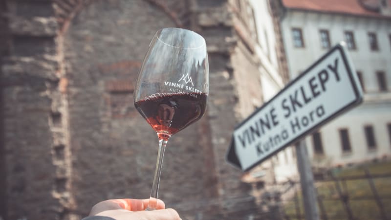 Finále Vinařství roku 2025 se blíží. V boji o jediný absolutní titul se utká šestice vinařství