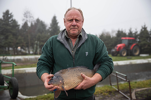 Žádné krůty z Ameriky, mladí lidé se dnes vracejí ke kaprovi, říká rybníkář