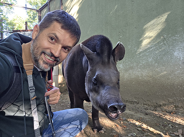 Selfie s tapírem, naháči v sauně i brněnské Rio. Fotoreportér vybral nejlepší snímky roku