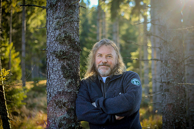 Emil je divně krotký. Až bude mít půl tuny v říji, může být zle, říká šéf NP Šumava