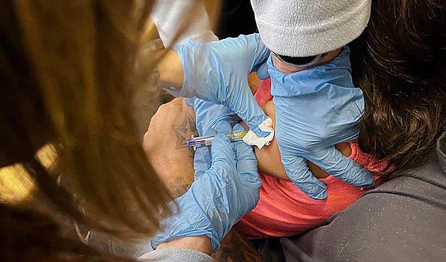 Žloutenky A bylo pětkrát víc než předloni, na síle nabral i svrab nebo borelióza