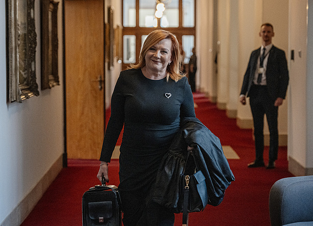 Schodek byl loni 290,7 miliardy, oznámila ministryně financí Schillerová