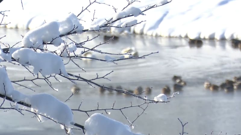 Rozšířená VÝSTRAHA před mrazy: Mapa ukazuje krizová místa Česka. Hrozí prochladnutí a omrzliny