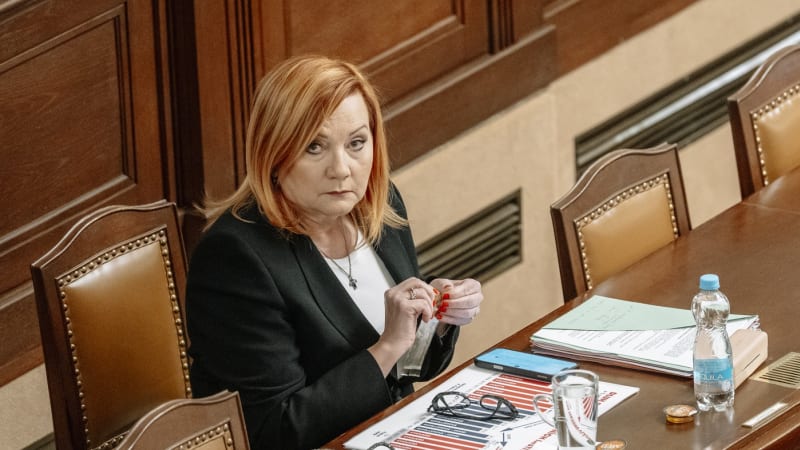 Schillerová: V krajním případě zafixujeme marže. Resort financí chce hlídat ceny pumpařů