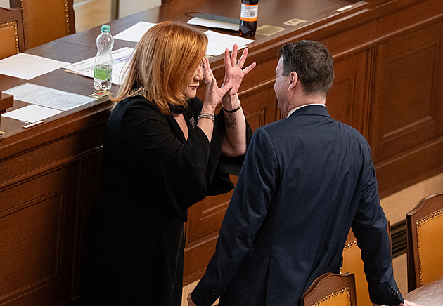 Poslanci schvalují letošní rozpočet. Stovky milionů korun přidají sportu