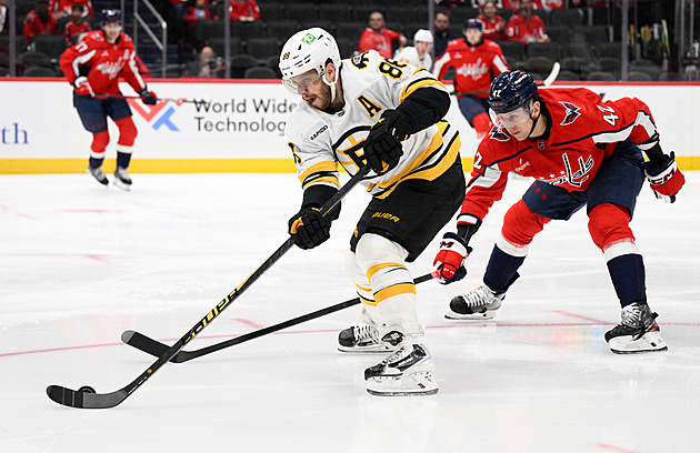 Pastrňák se Zachou asistovali, Nečas mírnil prohru. Anaheim hrál bez Čechů