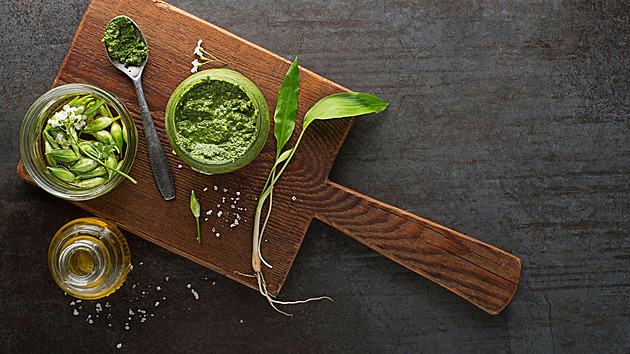 Medvědí česnek už roste. Proč na něj vyrazit a k čemu se hodí?