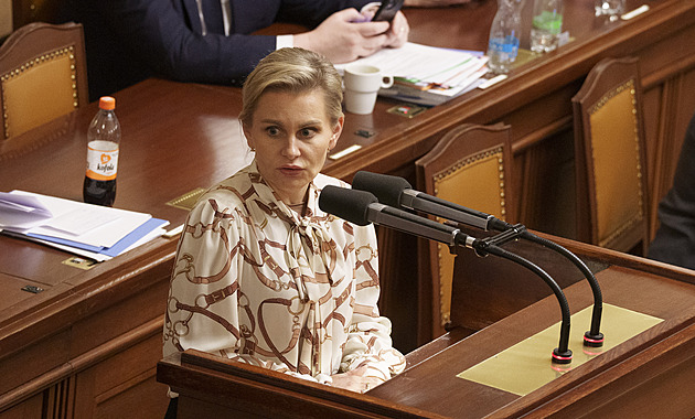 Poslanci podpořili změnu, která má znovu přitvrdit při neplacení výživného