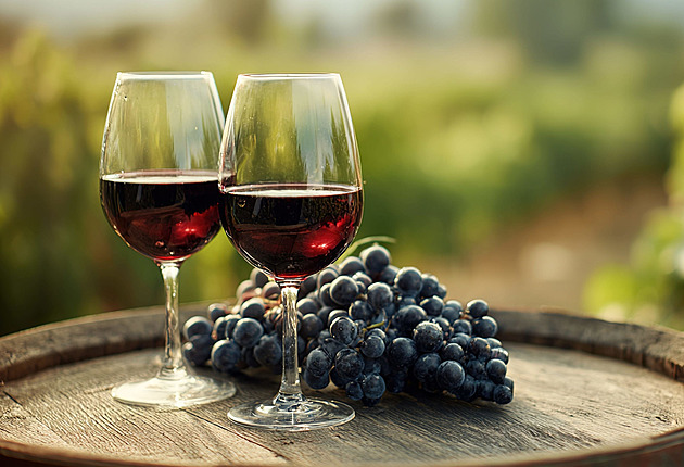 Omáčka rozhoduje víc než maso. Při párování vína hraje roli i tuk a kyselost