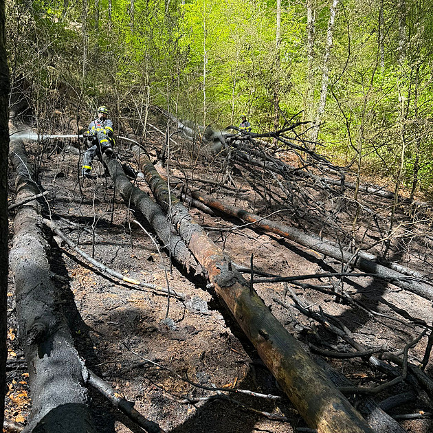 Hořel les na Teplicku. Hasiči povolali vrtulník, práci jim komplikoval vítr