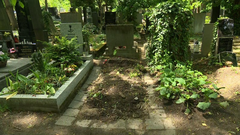 Omyl na hřbitově v Praze: Kameníci rozkopali cizí hrob. Pozůstalí probrečeli celou noc
