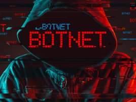 Nizozemci rozbili obří botnet. Přes 17 milionů zařízení bylo užíváno k útokům