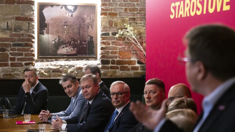 Hráz proti populismu či ohlodávání demokracie. Starostové v boji o Senát sazí na kartu obrany