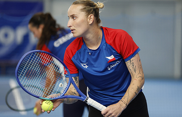 Nešťastné, ale jiný trest nebyl možný!
Vyšla podrobná zpráva k Vondroušové