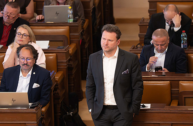 Jak porazit Pavla? Zeman radí vládě Vondráčka, Paroubek se obává „masakru“