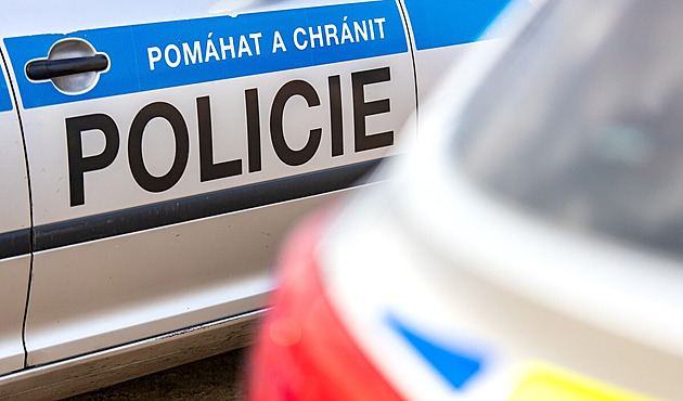 Policie hledala psychiatrického pacienta, dřív shodil člověka do kolejiště metra