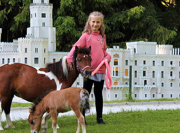 Boheminium zůstává v Mariánských Lázních, radnice se dohodla s majiteli