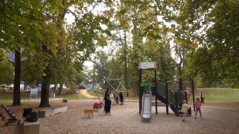 Kousek od tragédie: U dětského hřiště v Plzni spadl mohutný strom